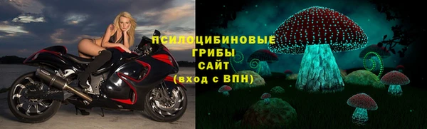 ECSTASY Алзамай
