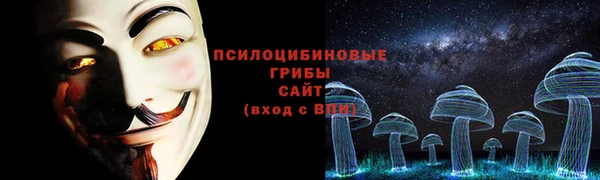 ECSTASY Алзамай