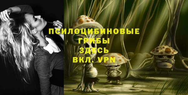 ECSTASY Алзамай
