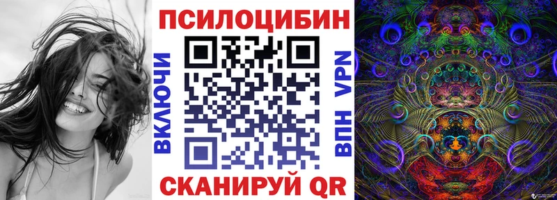 купить наркотики цена Пролетарск Псилоцибиновые грибы прущие грибы